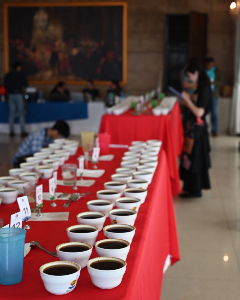 【プライベートカッピングセミナー】