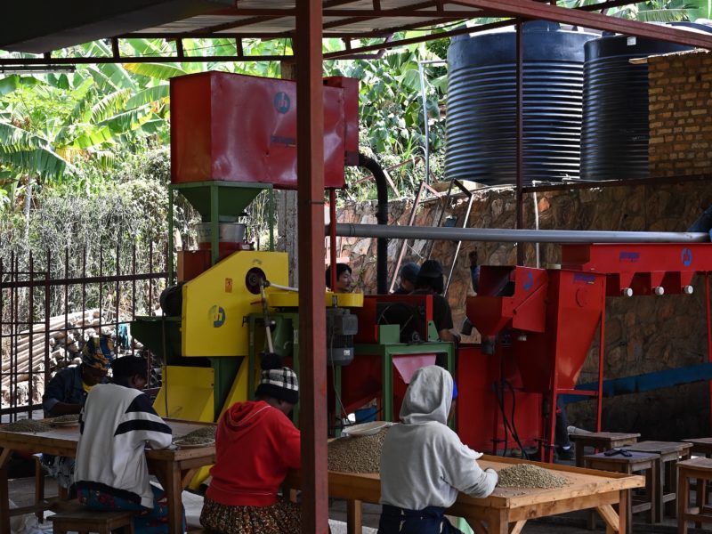 【第1回コーヒープロセッシングセミナー】