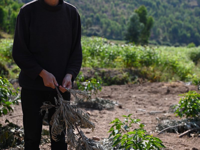 【”コーヒー生産地と協働する会”試飲説明会】