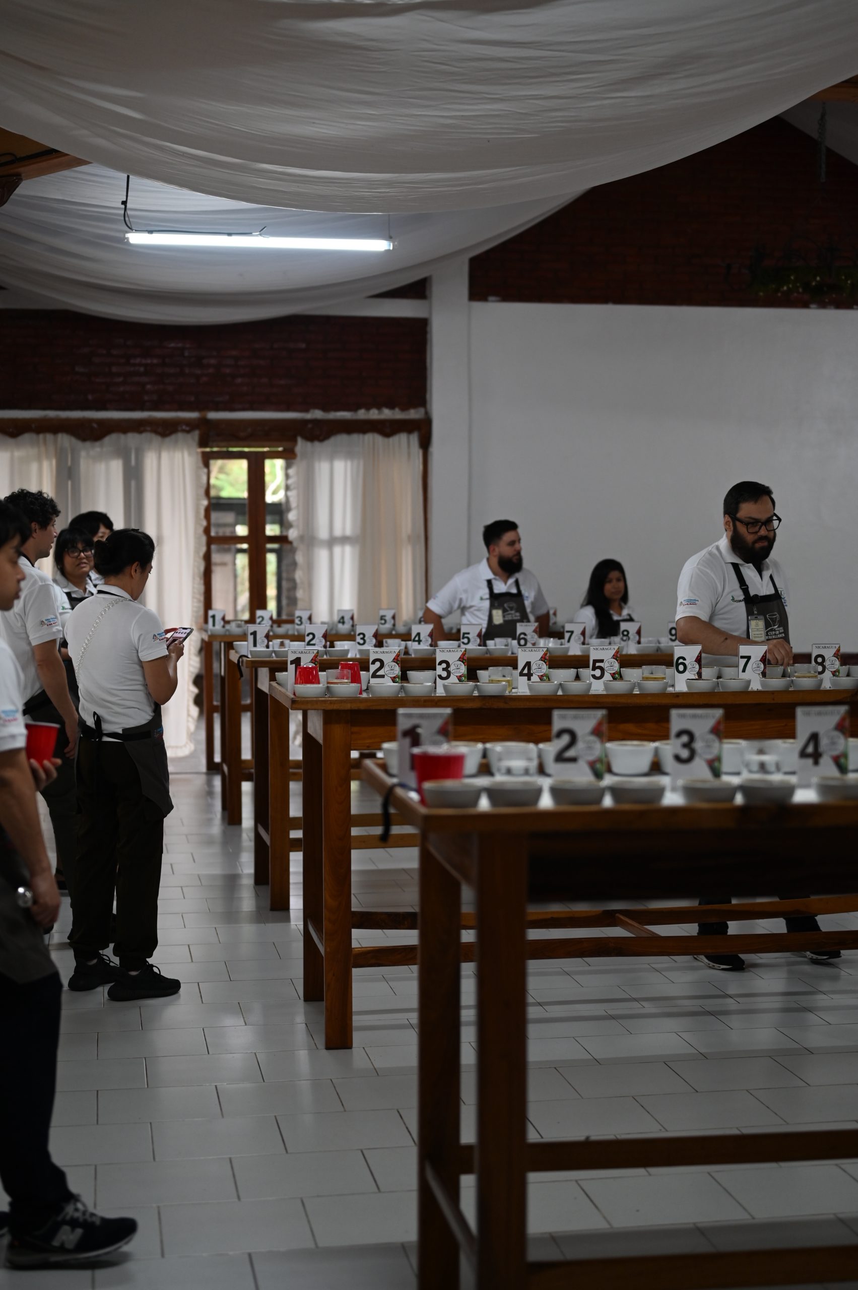 【第48回生産国別トップロットカッピングセミナー】