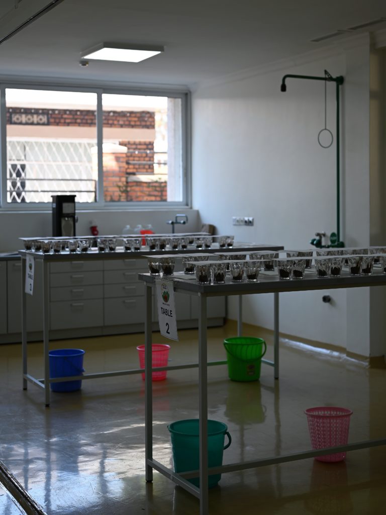 【第47回スキルアップカッピングセミナー】