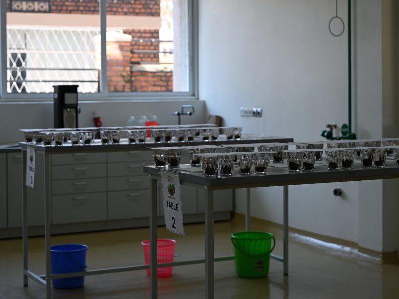 【第47回スキルアップカッピングセミナー】