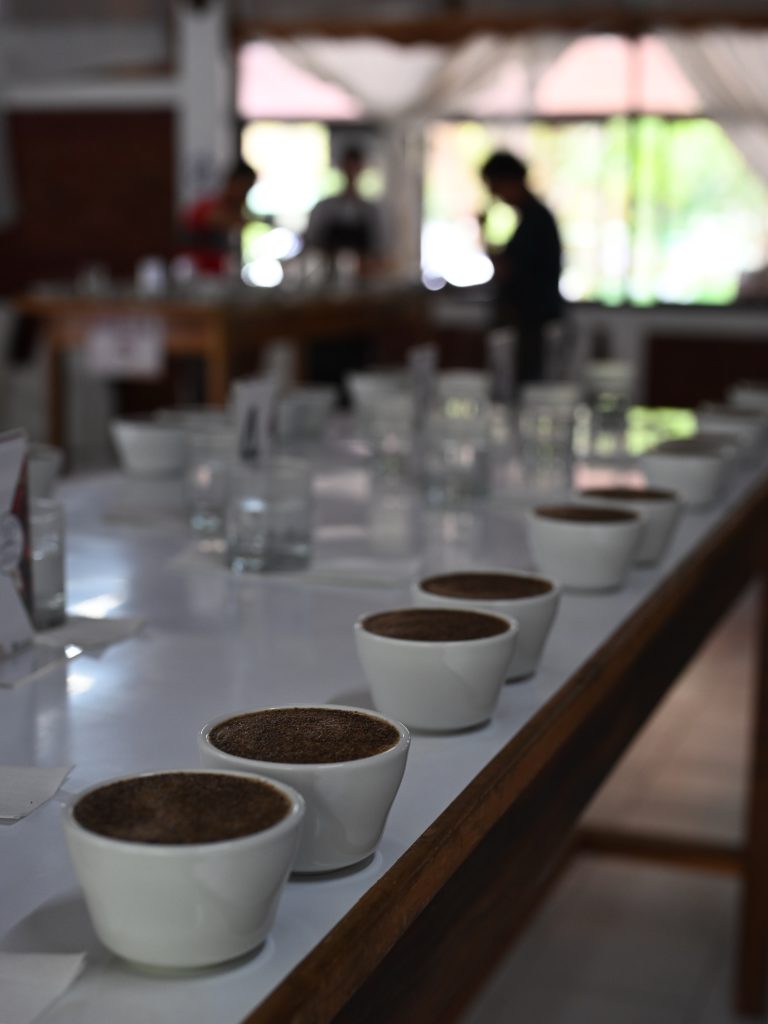 【第47回初級カッピングセミナー】