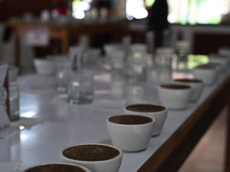 【第47回初級カッピングセミナー】