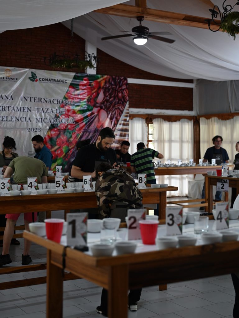 【第48回初級カッピングセミナー】