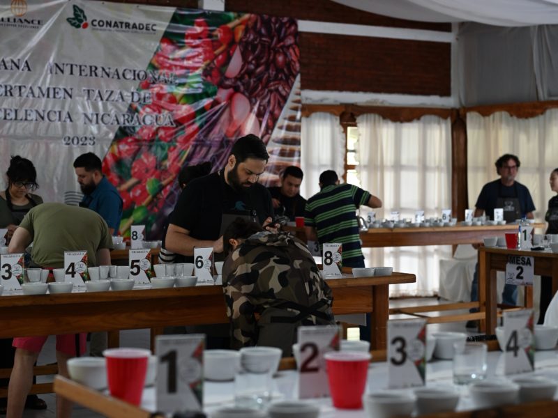 【第48回初級カッピングセミナー】