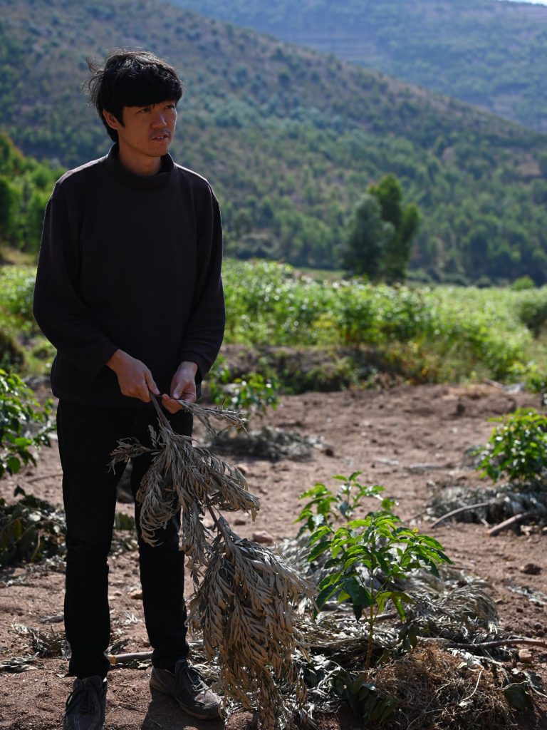 【”コーヒー生産地と協働する会”試飲説明会】