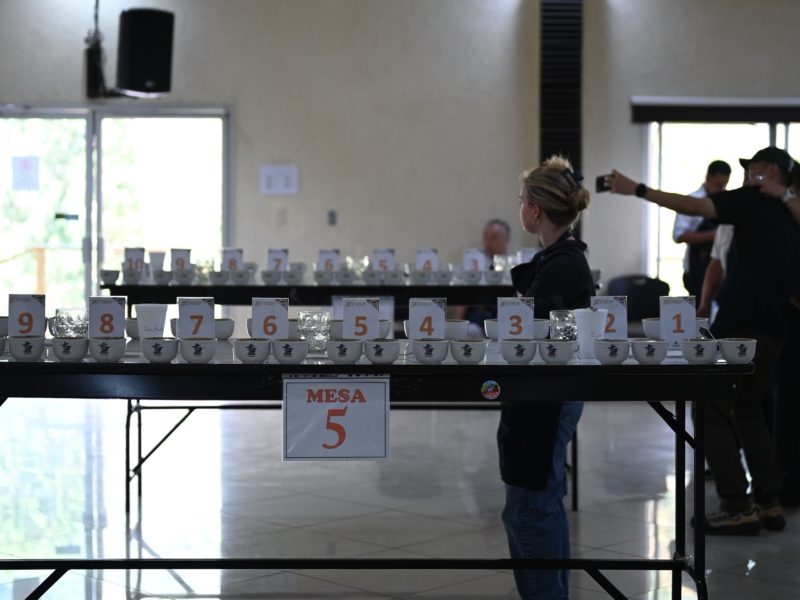 【第49回生産国別トップロットカッピングセミナー】