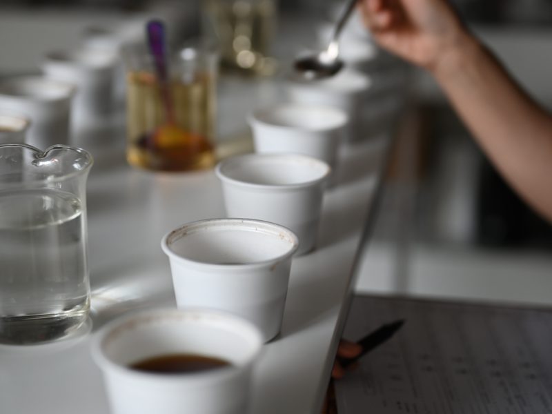 【第48回スキルアップカッピングセミナー】